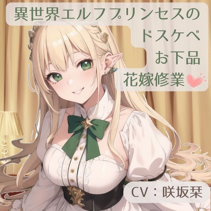 異世界エルフプリンセスのドスケベお下品花嫁修業 の表紙
