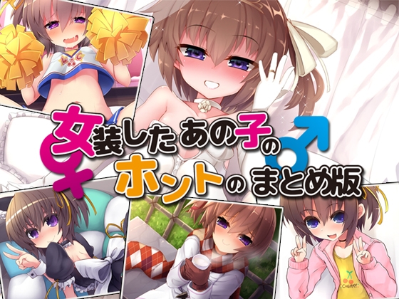 女装したあの子とホントのまとめ版 の表紙
