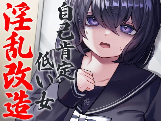 自己肯定低い女 淫乱改造 の表紙