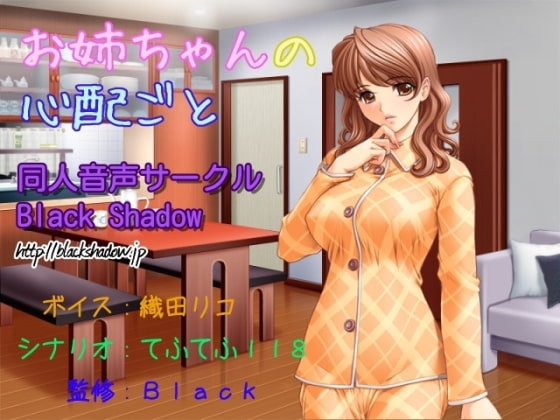 お姉ちゃんの心配ごと の表紙
