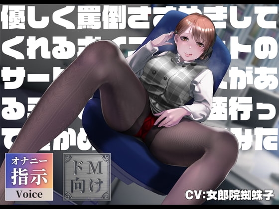 優しく罵倒ささやきしてくれるボイチャサービスがあるらしい の表紙
