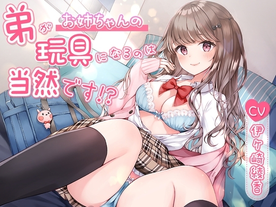 弟がお姉ちゃんの玩具になるのは当然です!? の表紙