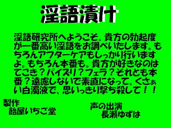 淫語漬け の表紙