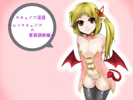 サキュバス淫語～○リサキュバスの家畜調教編～ の表紙