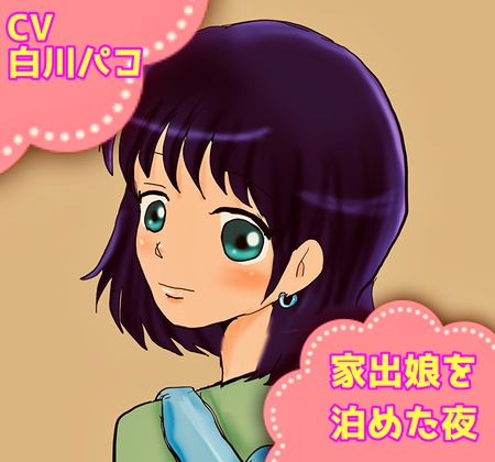 家出娘を泊めた夜 の表紙
