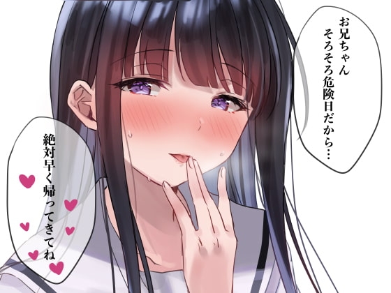 ガチ子作り宣言したらすごい乗り気な妹「お兄ちゃん、そろそろ危険日だから絶対早く帰ってきてね?」 の表紙