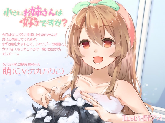 【KU100】小さいお姉さんは好きですか? の表紙