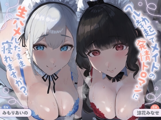 【ALL無声音】フル勃起でメイドの発情トロマンに生ハメしたまま寝れますか?【スローセックス/ずっと生ハメ】 の表紙