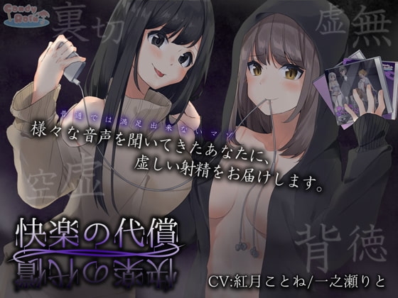 快楽の代償 の表紙