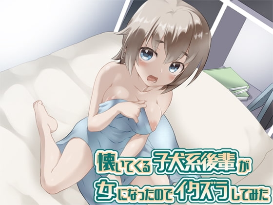 懐いてくる子犬系後輩が女になったのでイタズラしてみた の表紙