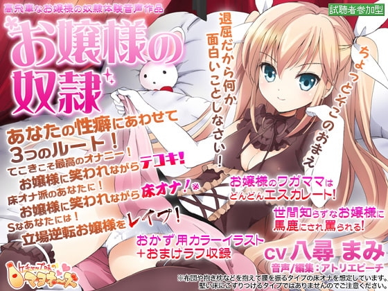 お嬢様の奴○ の表紙