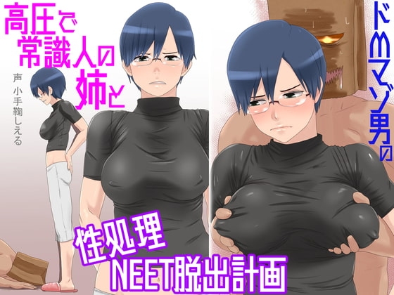ドMマゾ男の高圧で常識人の姉と性処理NEET脱出計画 の表紙