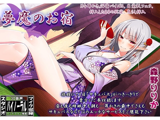 夢魔のお宿 の表紙