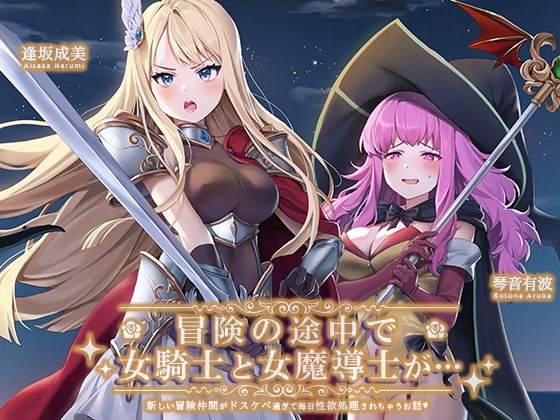 冒険の途中で騎士(♀)と魔導士(♀)が… の表紙