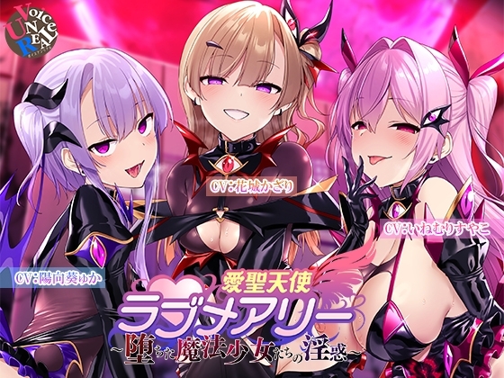 愛聖天使ラブメアリー ～堕ちた魔法少女たちの淫惑～ の表紙