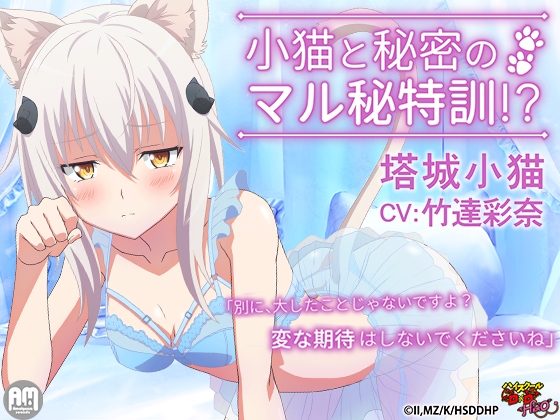 ハイスクールD×D HERO ASMR 小猫と秘密のマル秘特訓!?【CV:竹達彩奈】 の表紙