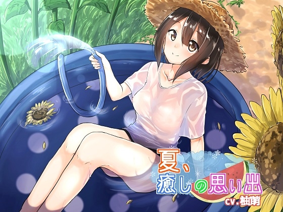 夏、癒しの想い出 の表紙