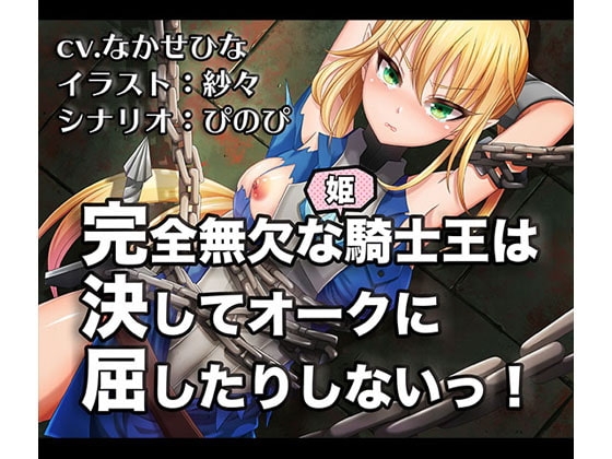 《獸○NTR》完全無欠な姫騎士王は決してオークに屈したりしないっ!【バイノーラル/ハイレゾ】 の表紙
