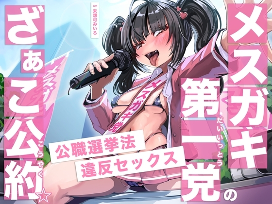 メ○ガキ第一党のざぁこ公約☆公職選挙法違反セックス の表紙
