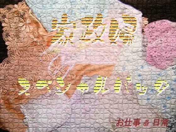 家政婦・スペシャルパック の表紙