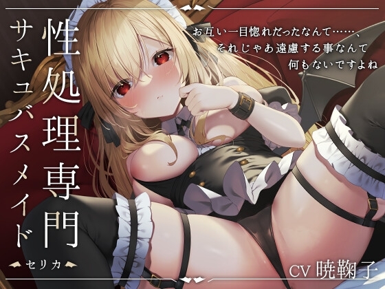 性処理専門サキュバスメイド -セリカ- の表紙