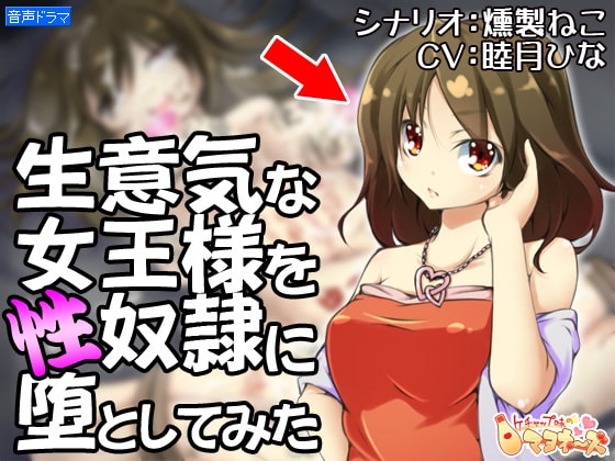 生意気な女王様を性奴○に堕としてみた の表紙