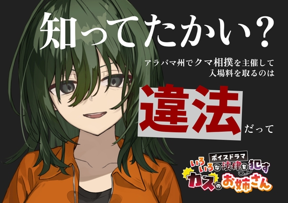 いろいろな法律を○すカスのお姉さん の表紙
