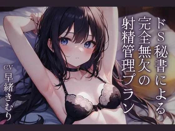 ドS秘書による完全無欠の射精管理プラン の表紙