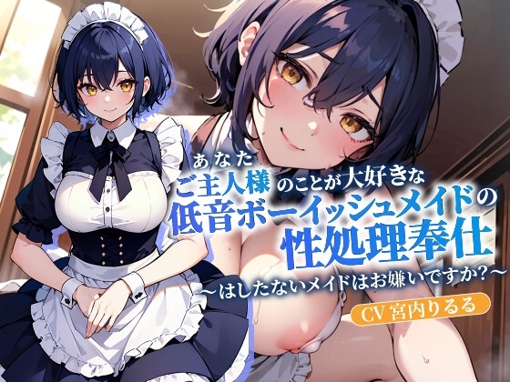 ご主人様(あなた)のことが大好きな低音ボーイッシュメイドの性処理奉仕～はしたないメイドはお嫌いですか?～【抱き枕推奨/ファンタジー/中出し】 の表紙
