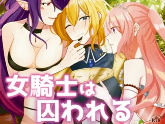 女騎士は囚われる の表紙