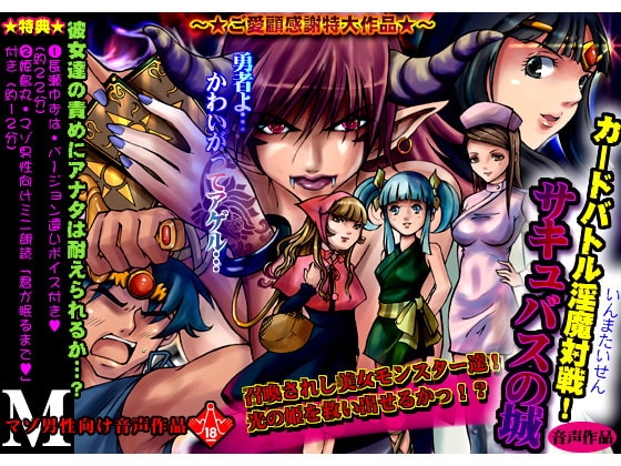 カードバトル淫魔対戦サキュバスの城 の表紙