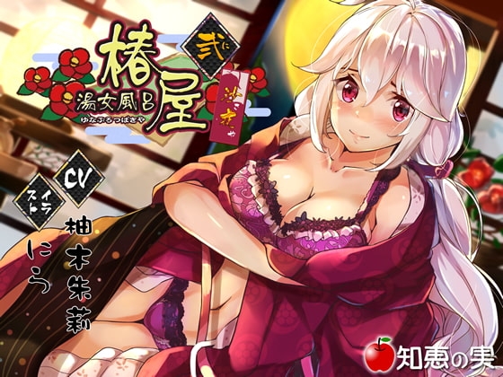 湯女風呂 椿屋 沙夜 弐(ダミーヘッドバイノーラル)【96kHz/24bitハイレゾ】 の表紙