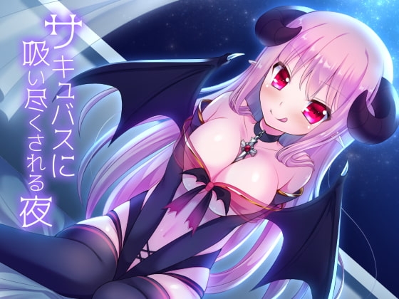 サキュバスに吸い尽くされる夜 の表紙