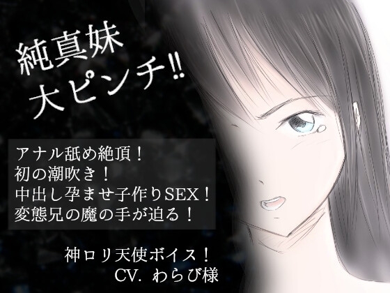 冬月ふわわ 妹との純愛ラブストーリー 子作りSEX の表紙
