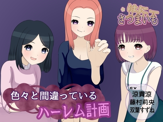 色々と間違っているハーレム計画 の表紙