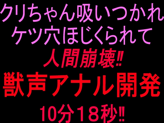 クリちゃん吸いつかれケツ穴ほじくられて人間崩壊‼︎獣声アナル開発10分18秒‼︎ の表紙