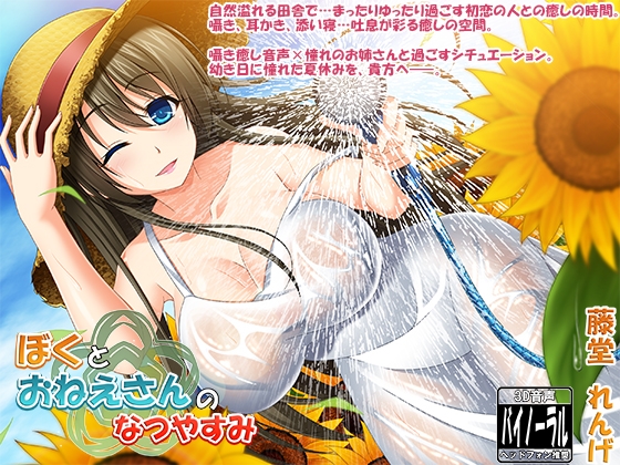 ぼくとおねえさんのなつやすみ の表紙