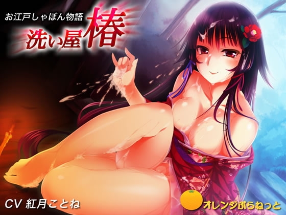 お江戸しゃぼん物語 洗い屋 椿 の表紙