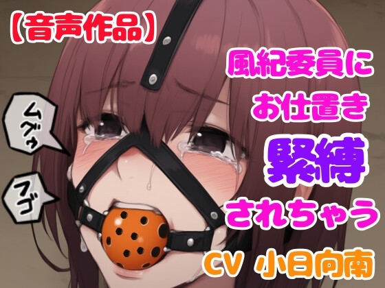 風紀委員にギチギチに縛られて猿轡をハメられちゃう の表紙