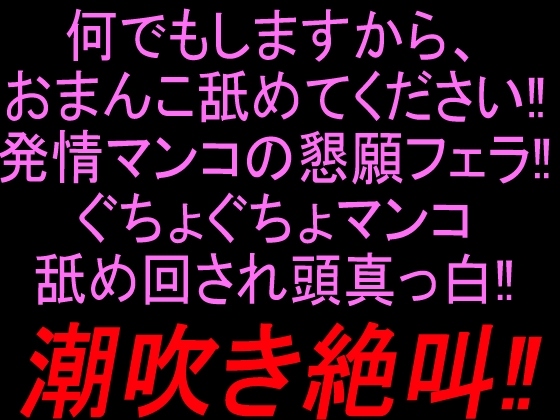 何でもしますから、おまんこ舐めてください‼︎発情マンコの懇願フェラ‼︎ぐちょぐちょマンコ舐め回され頭真っ白潮吹き絶叫‼︎ の表紙