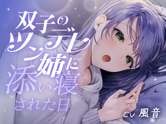 双子のツンデレ姉に添い寝された日 の表紙
