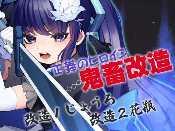 正義のヒロイン鬼畜改造 の表紙