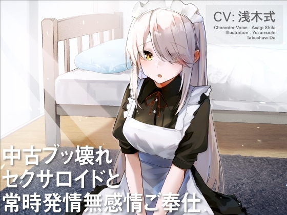 中古ブッ壊れセクサロイドと常時発情無感情ご奉仕 の表紙
