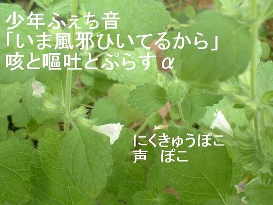 少年ふぇち音「いま風邪ひいてるから」咳と嘔吐とぷらすα の表紙