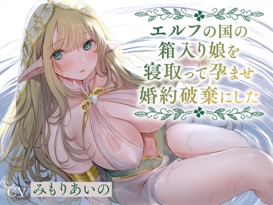 【全編潮吹き】エルフの国の箱入り娘を寝取って孕ませ婚約破棄にした【オホ声】 の表紙