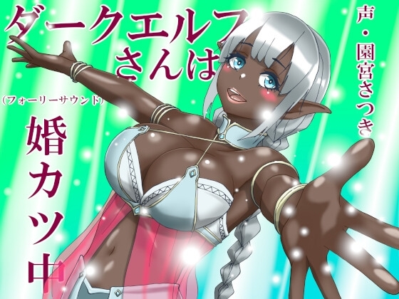 ダークエルフさんは婚カツ中(フォーリーサウンド) の表紙