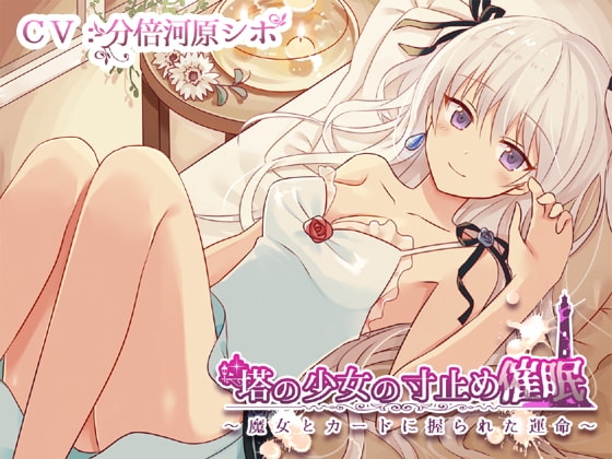 塔の少女の寸止め催○～魔女とカードに握られた運命～ の表紙