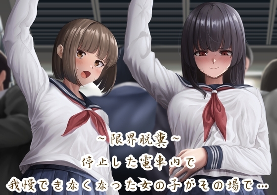 【限界脱糞】停止した電車内で我慢できなくなった女の子がその場で…(バイノーラル音声) の表紙