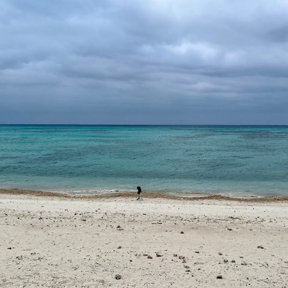 久米島 - イーフビーチ 04:13pm 20230203 の表紙