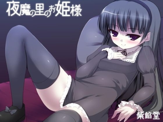 夜魔の里のお姫様 の表紙
